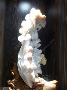 硨磲工藝品圖片圖片素材免費(fèi)下載 格式 jpg 大小 2448x3264像素 圖片編號 18747492 千圖網(wǎng)