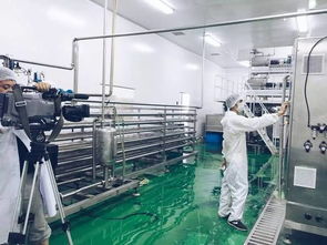 青海電視臺參觀訪問大漠紅工廠