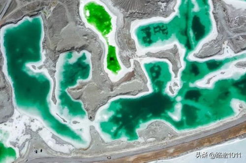 青海旅游買玉坑有多大 玉石市場的陷阱與防范