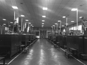 青海鑄瑪 借力而上，開創藍寶石晶體產業藍海